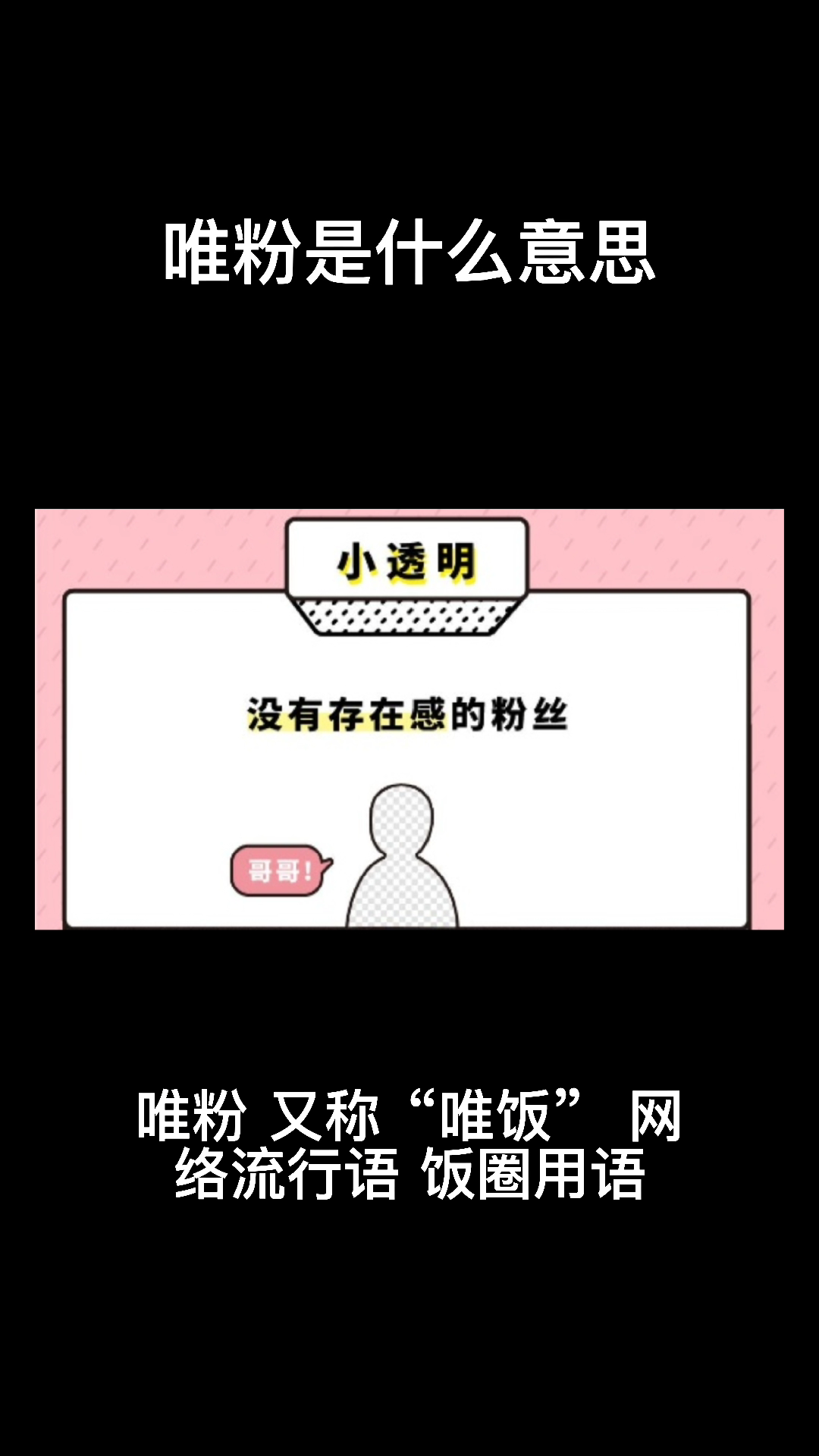 唯粉是什么意思呢