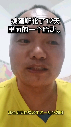 养殖小鸡前的一个小规模孵化试验,鸡蛋孵化了12天的一个动态(胎动)情况给大家看下