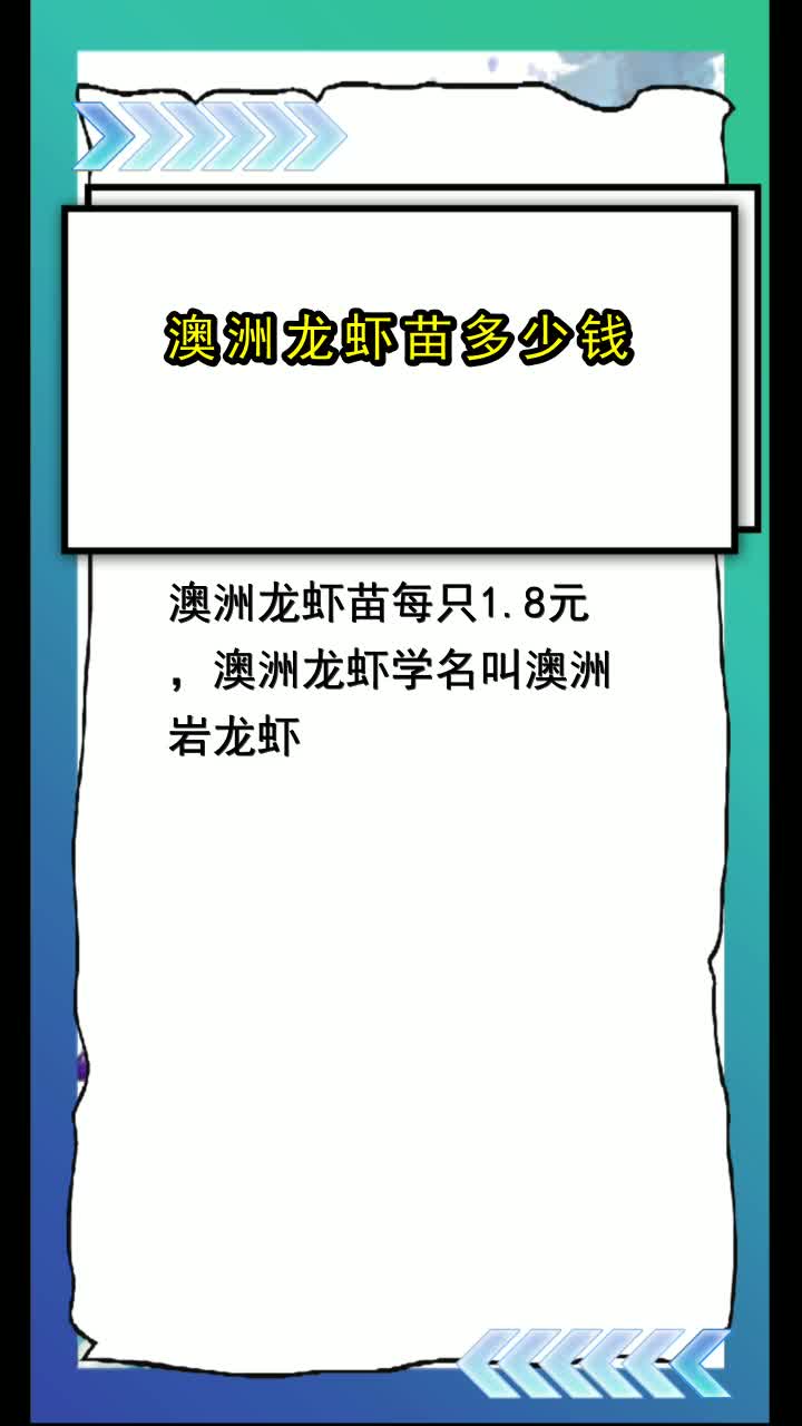 澳洲龙虾苗多少钱,你清楚了吗