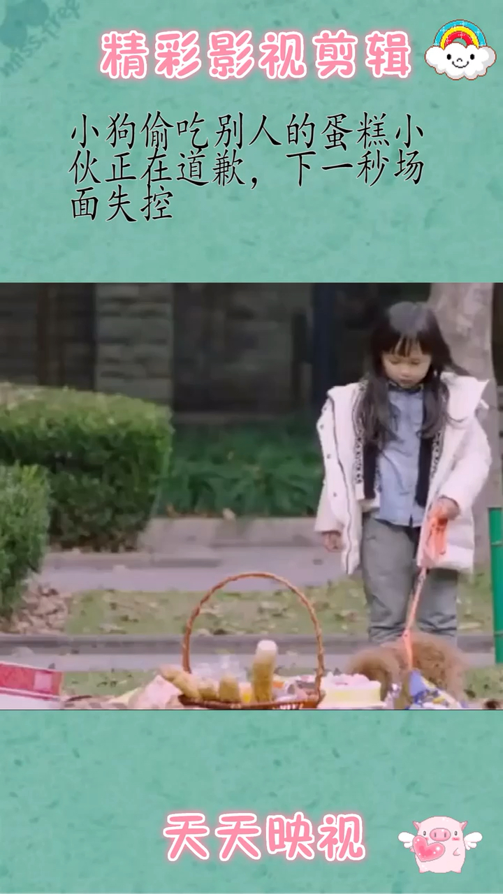 小狗偷吃蛋糕