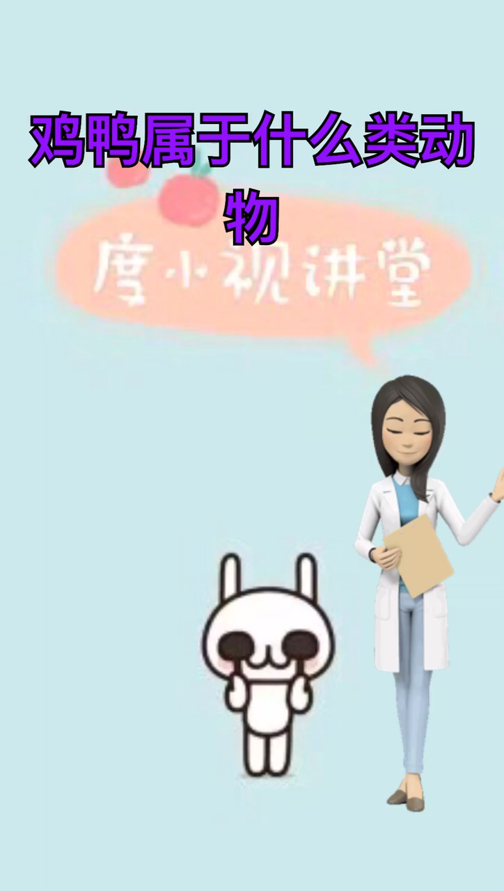 鸡鸭属于什么类动物
