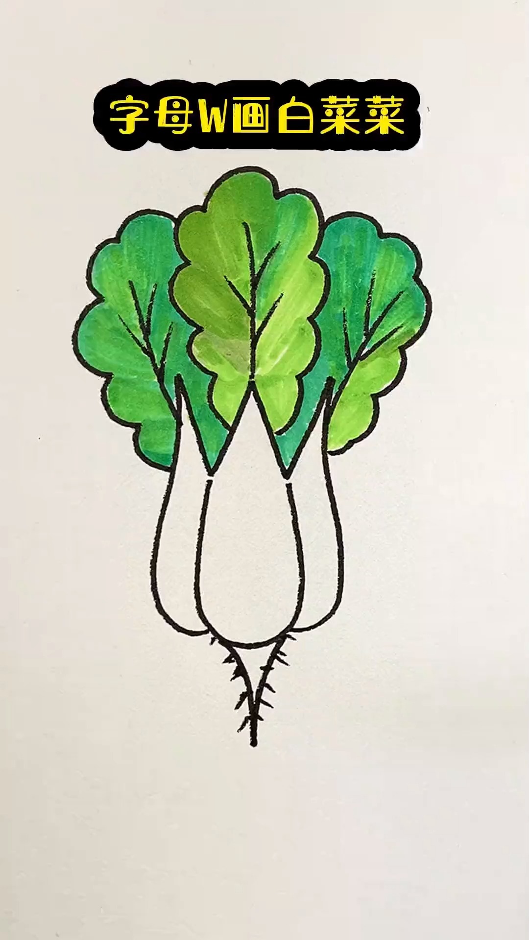 字母W画白菜菜 零基础学画画 简笔画 一学就会系列   简单易学
