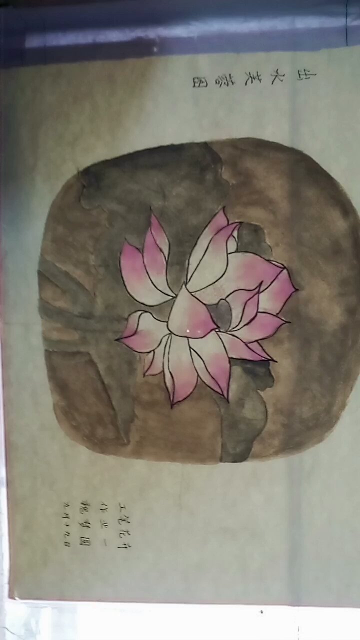 出水芙蓉的美丽生动作品工笔花卉象征着人们对荷花的热爱及美丽。对生活的向往及善爱。