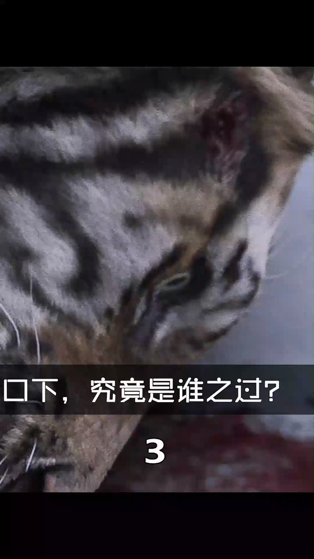#好看电影#猎人杀掉老虎却放过幼虎,多年后儿子死在幼虎口下,究竟是谁之过?