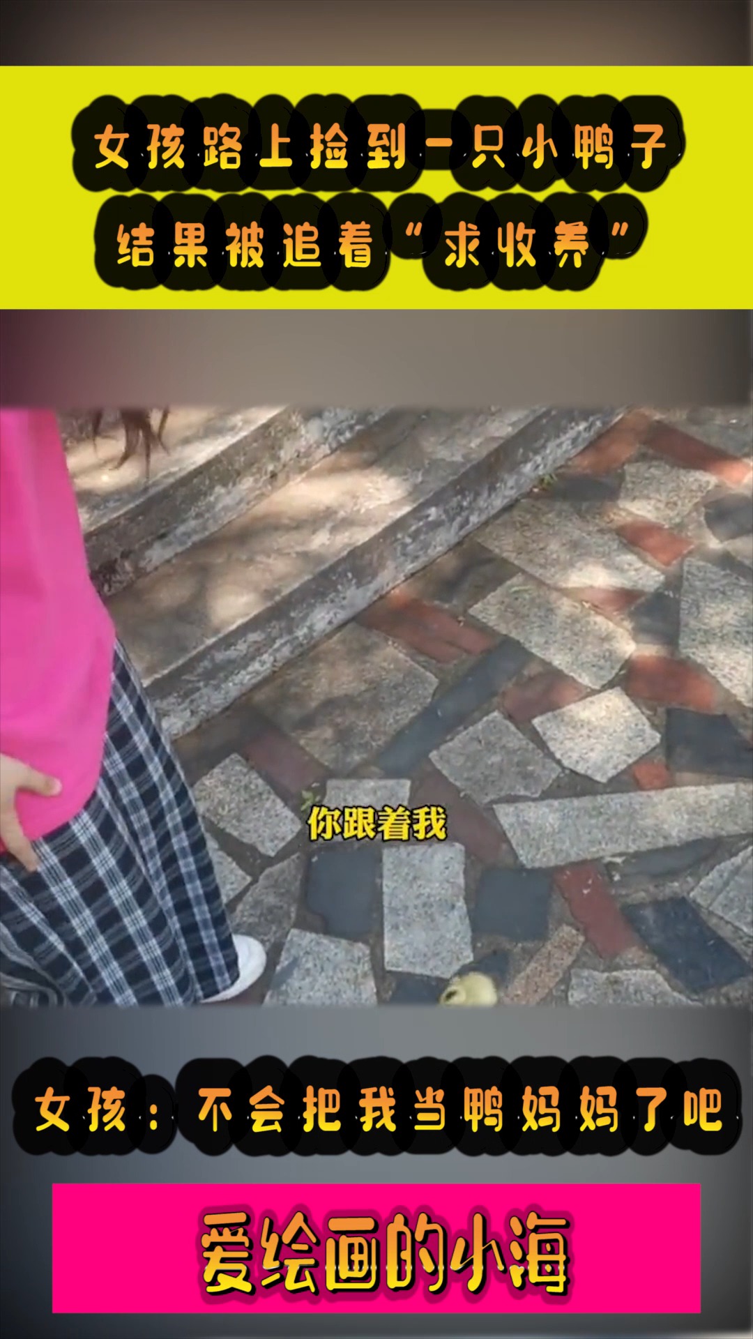 #我要上热门#女孩路上捡到一只小鸭子,结果被追着“求收养”,女孩:不会把我当鸭妈妈了吧!