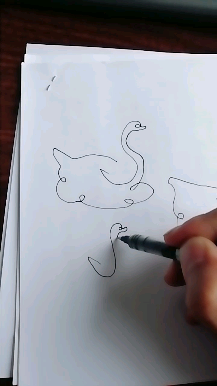 一笔画～白天鹅