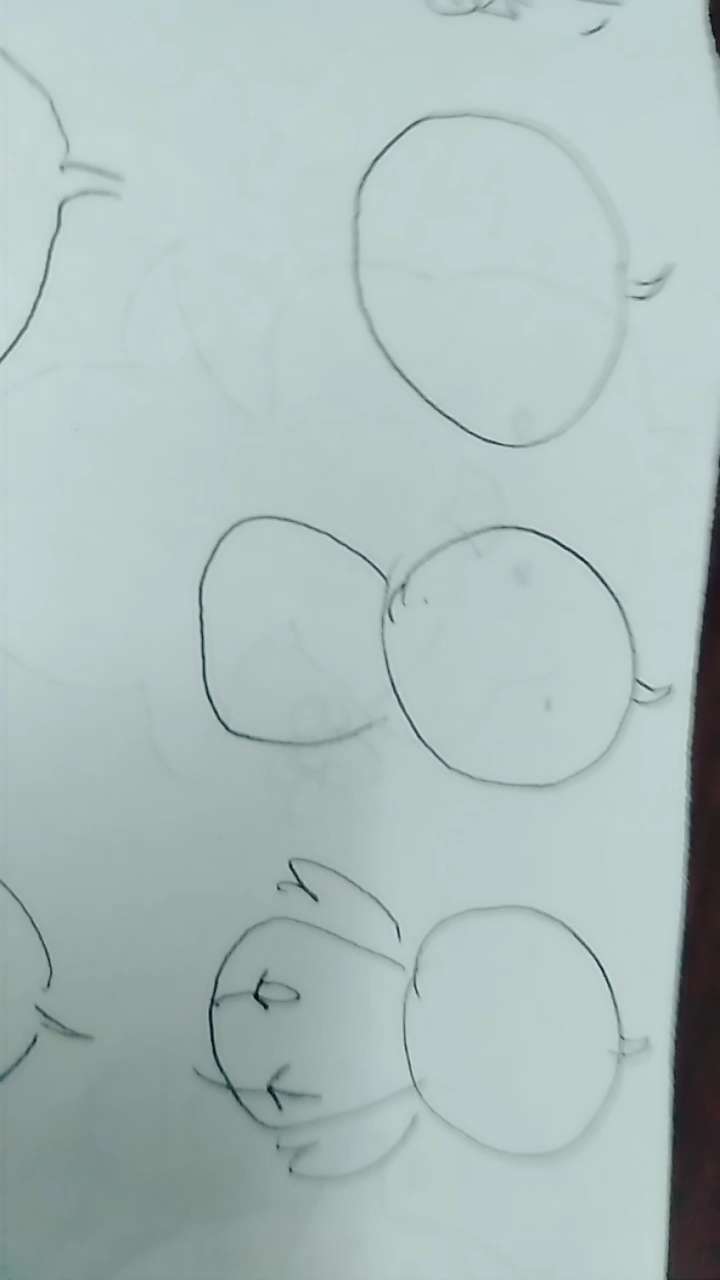 简笔画小鸡