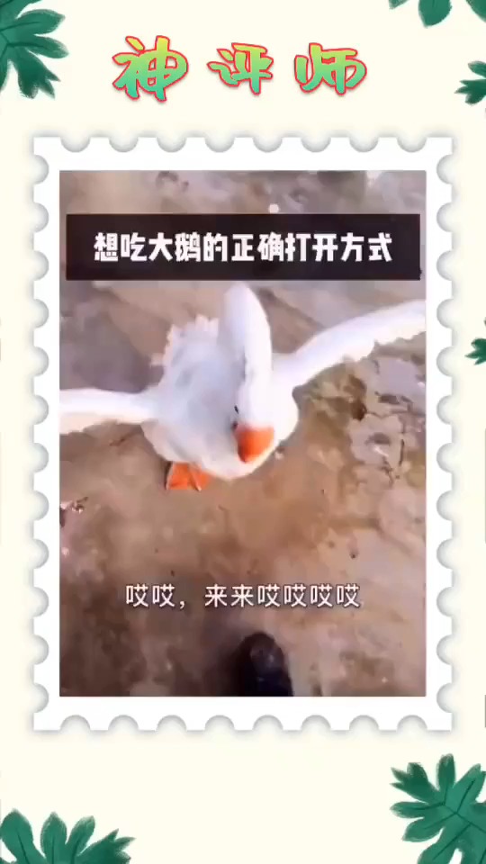 #搞笑视频#吃大鹅的正确方式