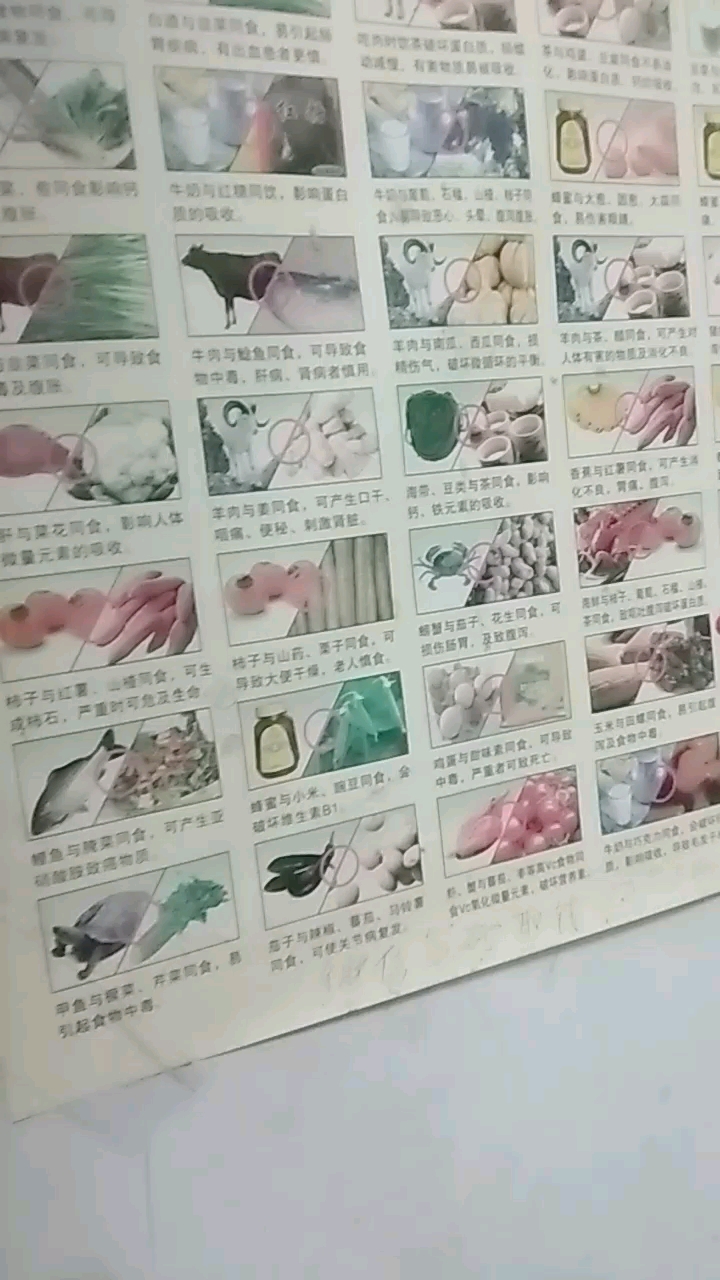 食物之间的相克。