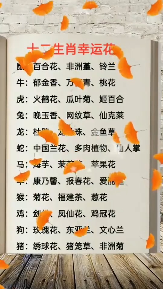 十二生肖幸运花