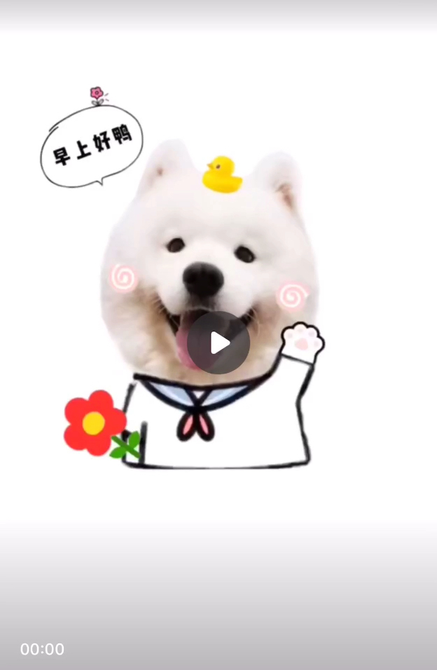 #我要上热门#专属表情包来了!你爱哪一个!