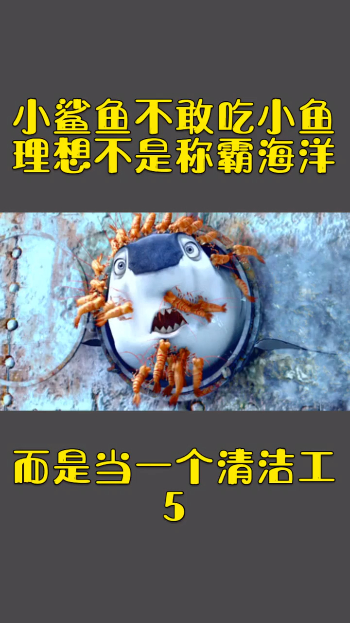 小鲨鱼不敢吃小鱼理想不是称霸海洋。而是当一个清洁工