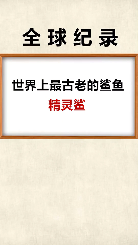 稀有物种,有点可爱了!