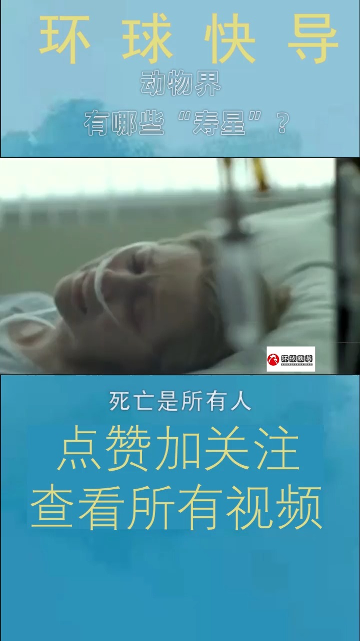 动物界有哪些“寿星”?