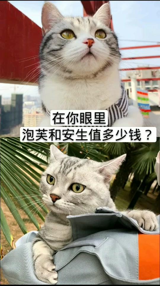 #fm团队 #玖辞有王泡芙 #辞梦姐妹 #玖莹姐妹 #state姐妹团 #王泡芙@王泡芙 