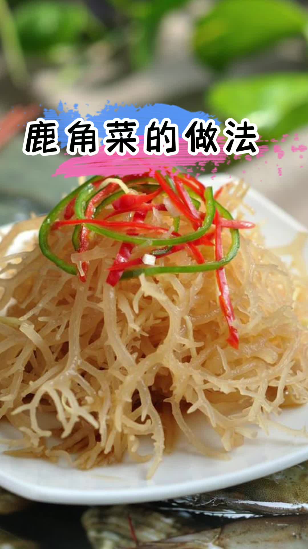 鹿角菜的做法,你明白了吗