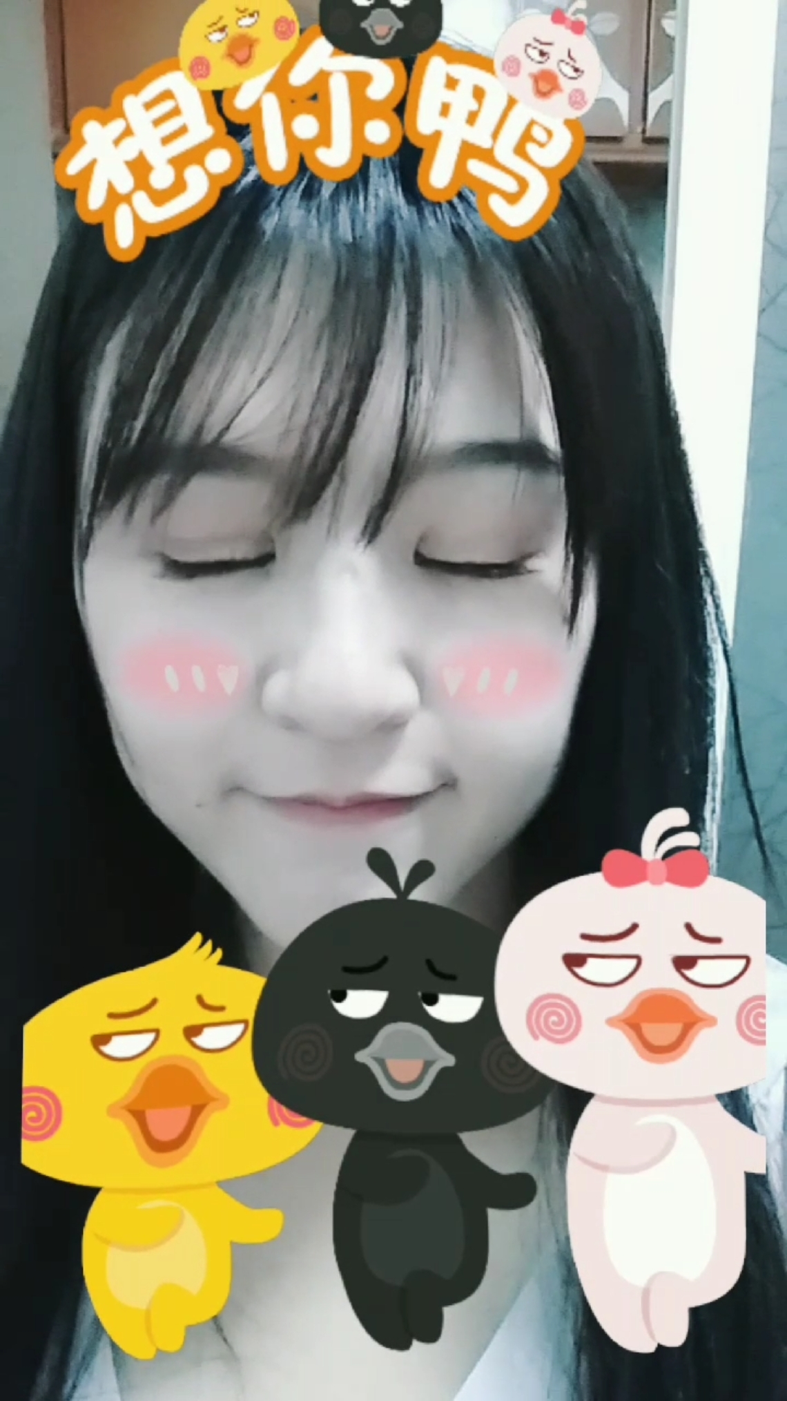 小鸭跳舞