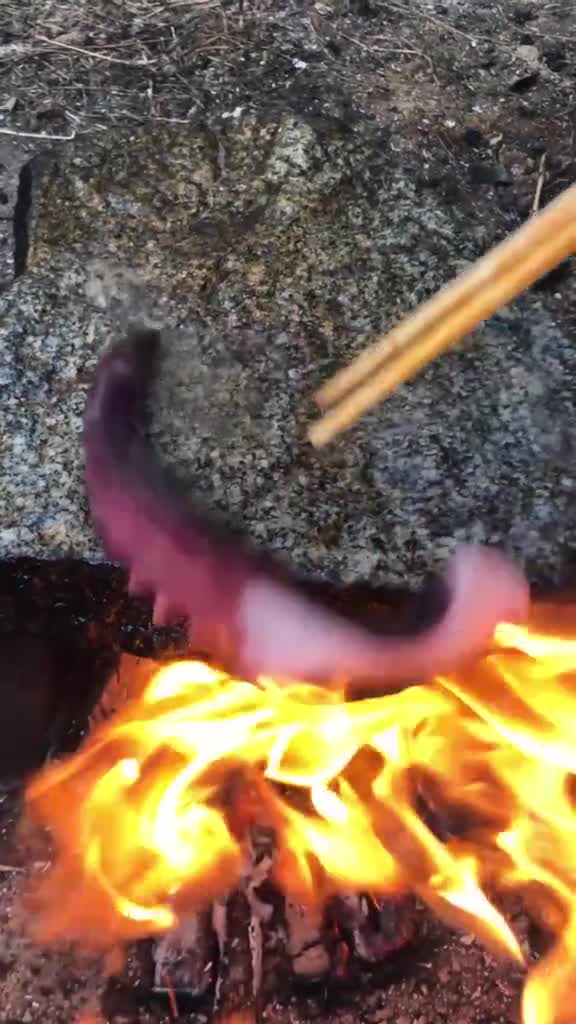有多少人分不清章鱼足跟鱿鱼须,今天再来烤一只,美食趣胃计划,,烧烤