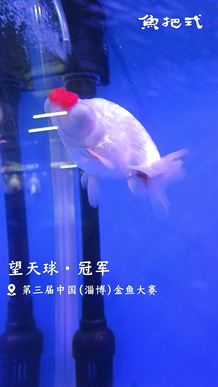 望天球冠军