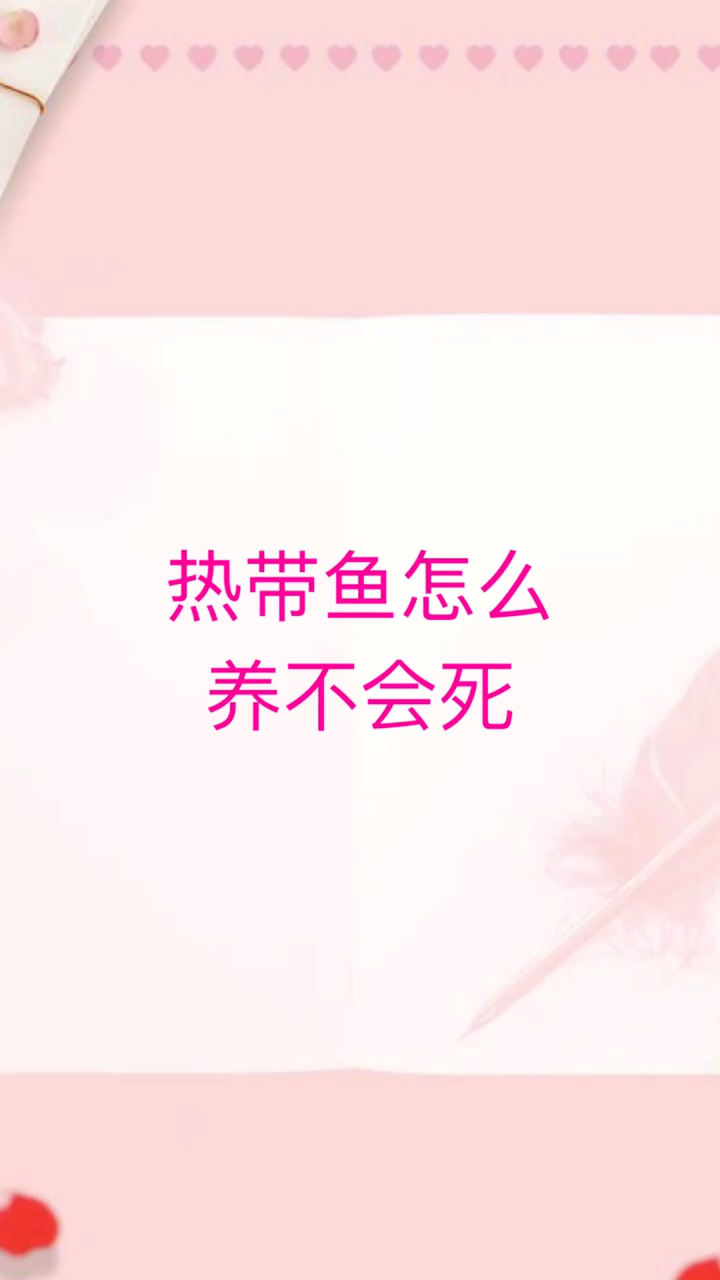 我来告诉你热带鱼怎么养不会死