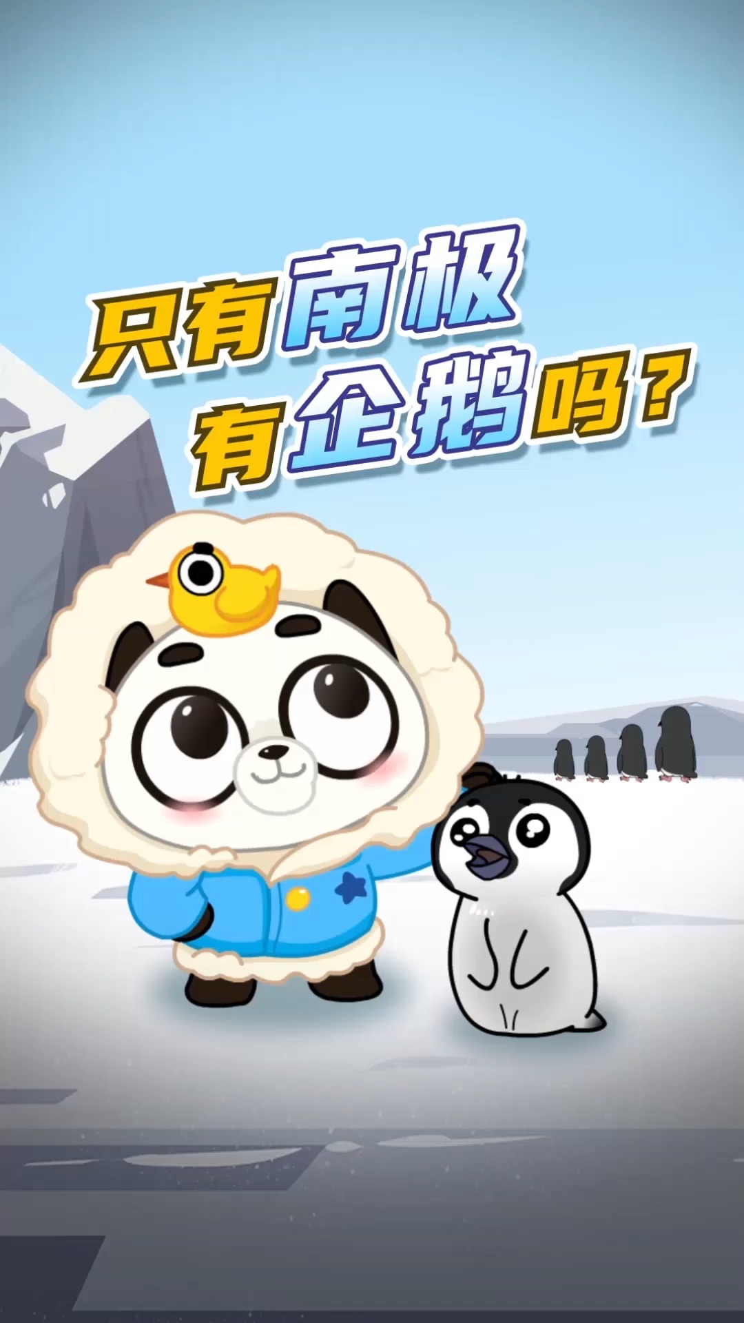 #动物世界#不止南极有企鹅~