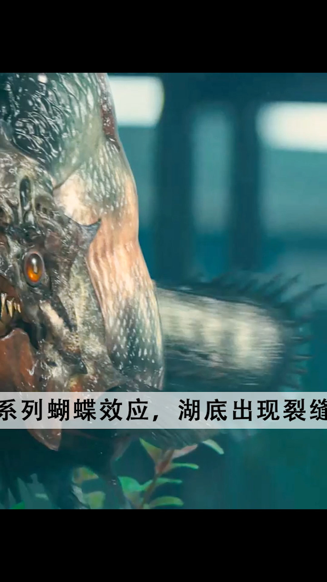 #电影解说#一个瓶子掉进湖底,引发一系列蝴蝶效应,湖底出现裂缝,解封了沉睡万年的食人鱼