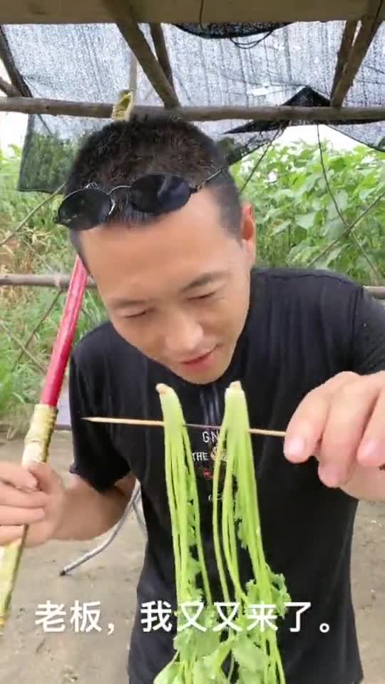 石板烤香菜,少一个打酱油去了?