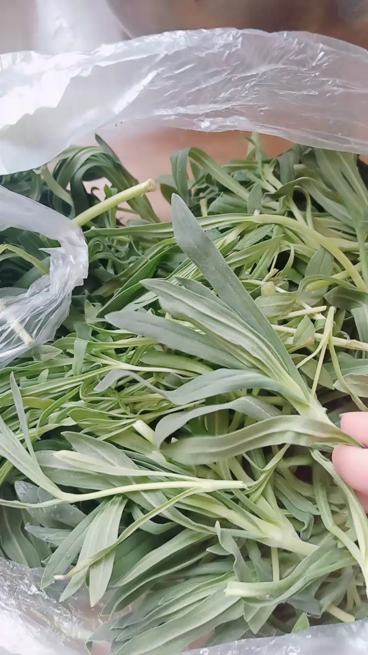 野菜