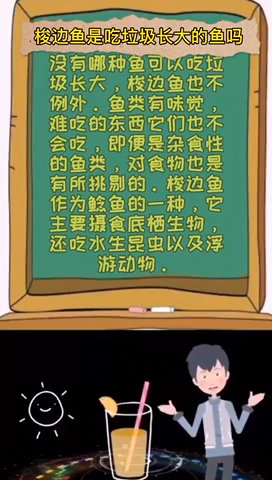 梭边鱼是吃垃圾长大的鱼吗