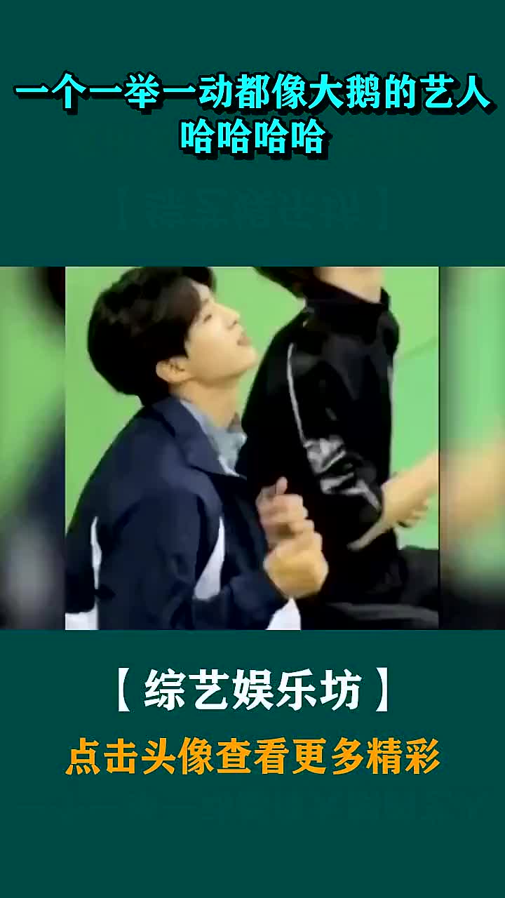 一个一举一动都像大鹅的艺人哈哈哈哈