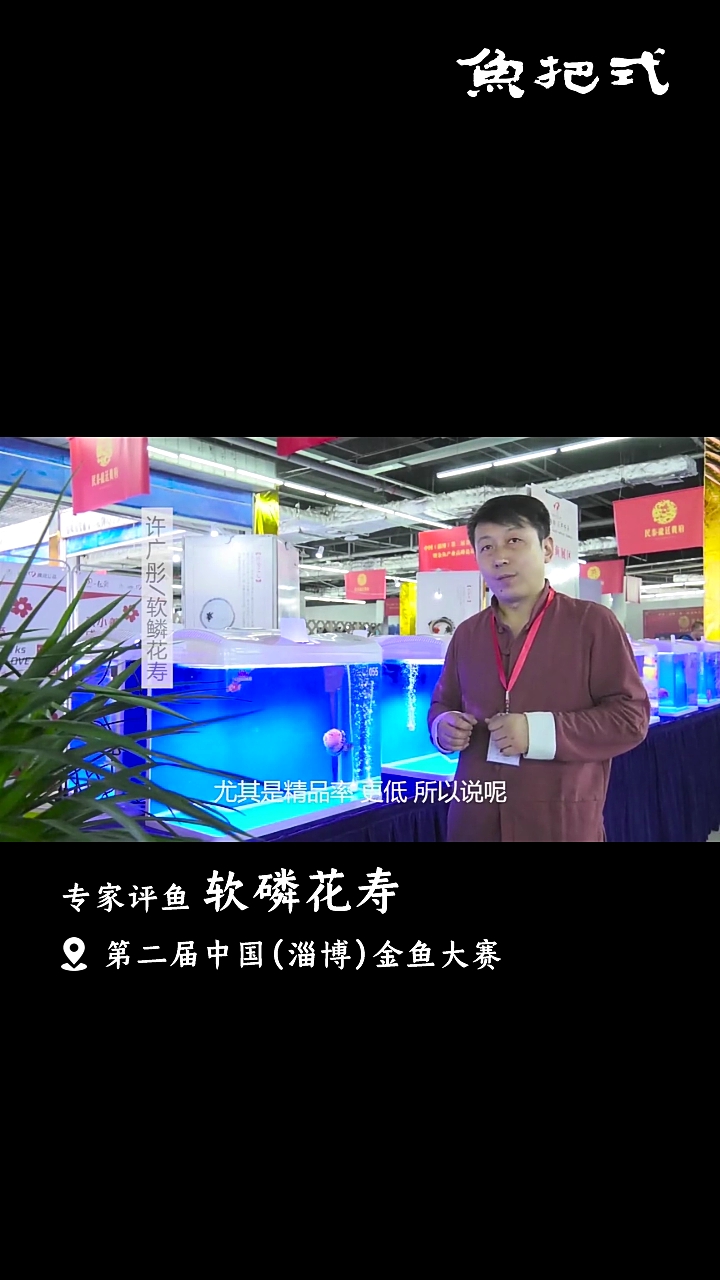 #我要上热门#你们喜欢软鳞花寿的什么特点?