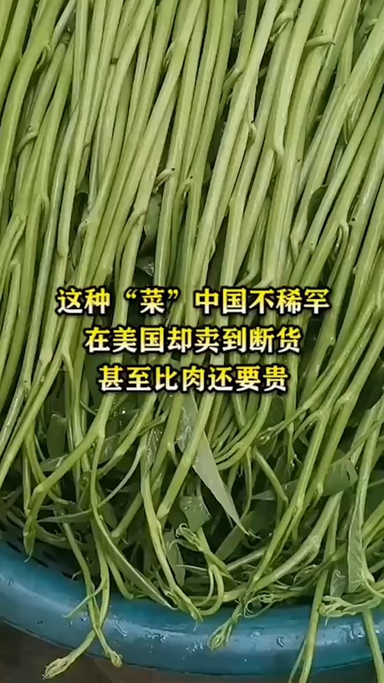 这种“菜”中国不稀罕,在美国却卖到断货,甚至比肉还要贵!
