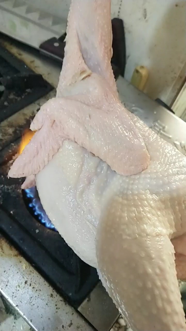 家常炖柴鸡教程!成品请看下面视频!