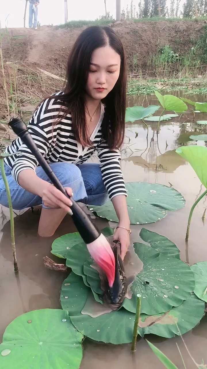 你喜欢这个荷花鱼吗?喜欢的给个双击加关注