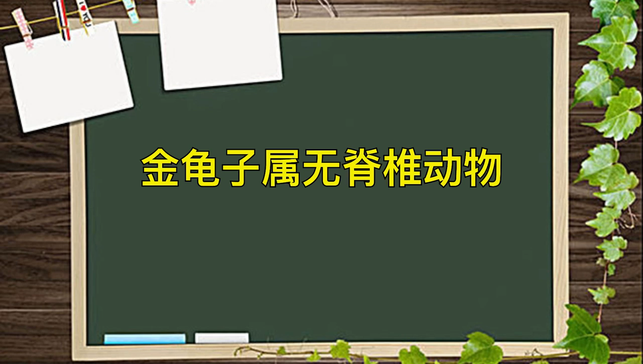 金龟子吃什么食物为主?
