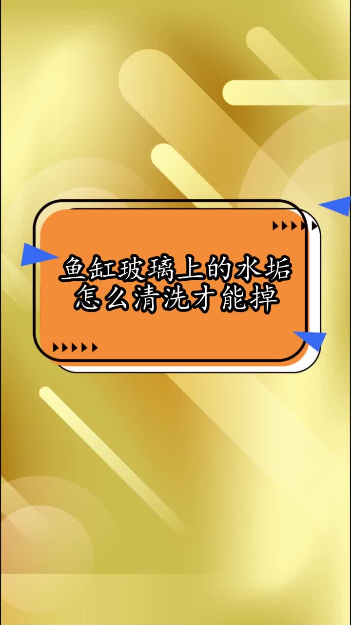 鱼缸玻璃上的水垢怎么清洗才能掉,你看懂了吗