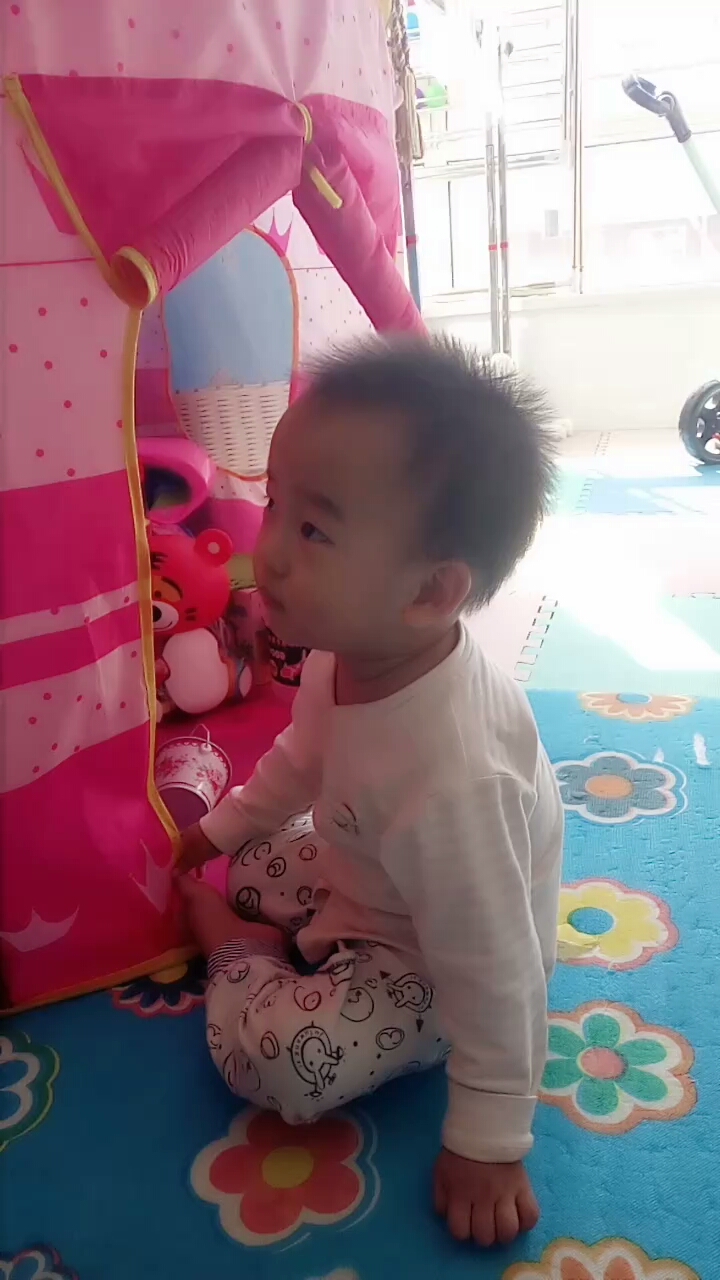 又在看萌鸡小队