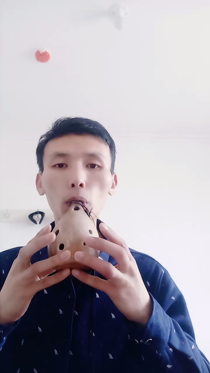 大鱼海棠
