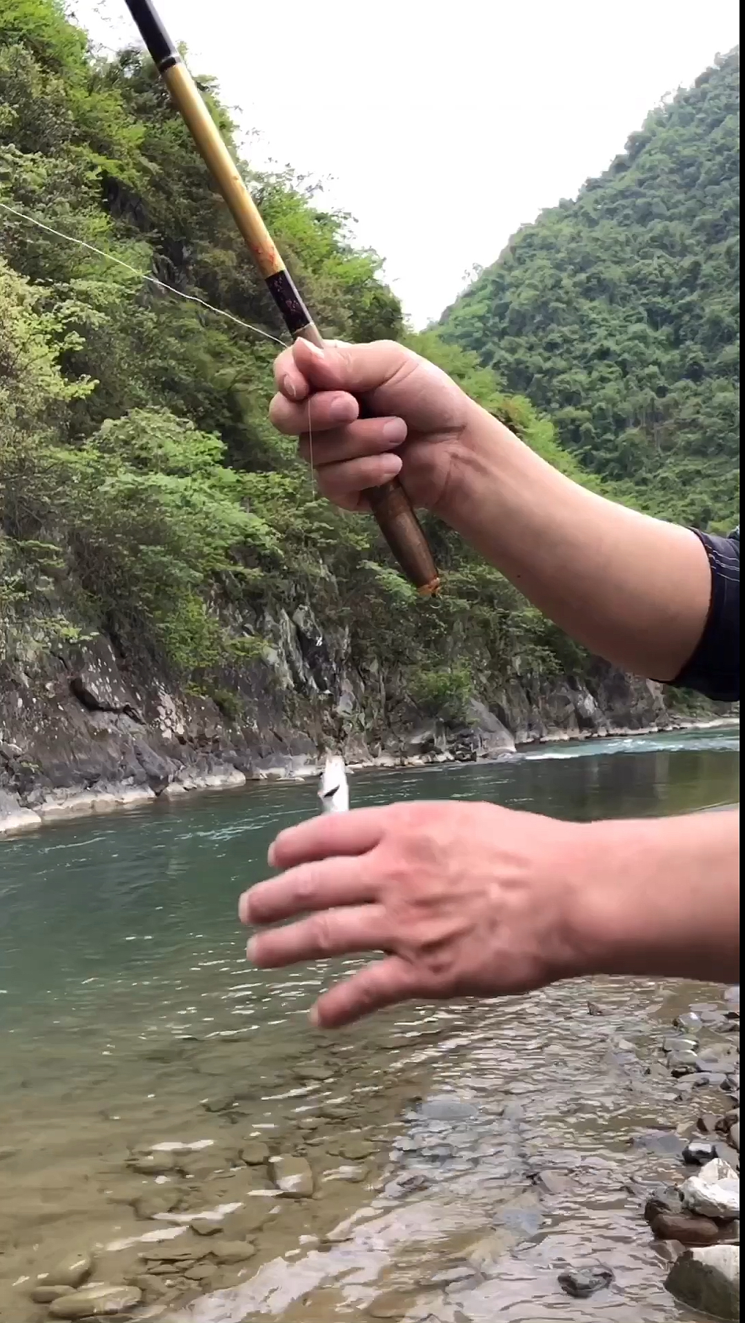 #赵孟楷书#农村野河钓小鱼