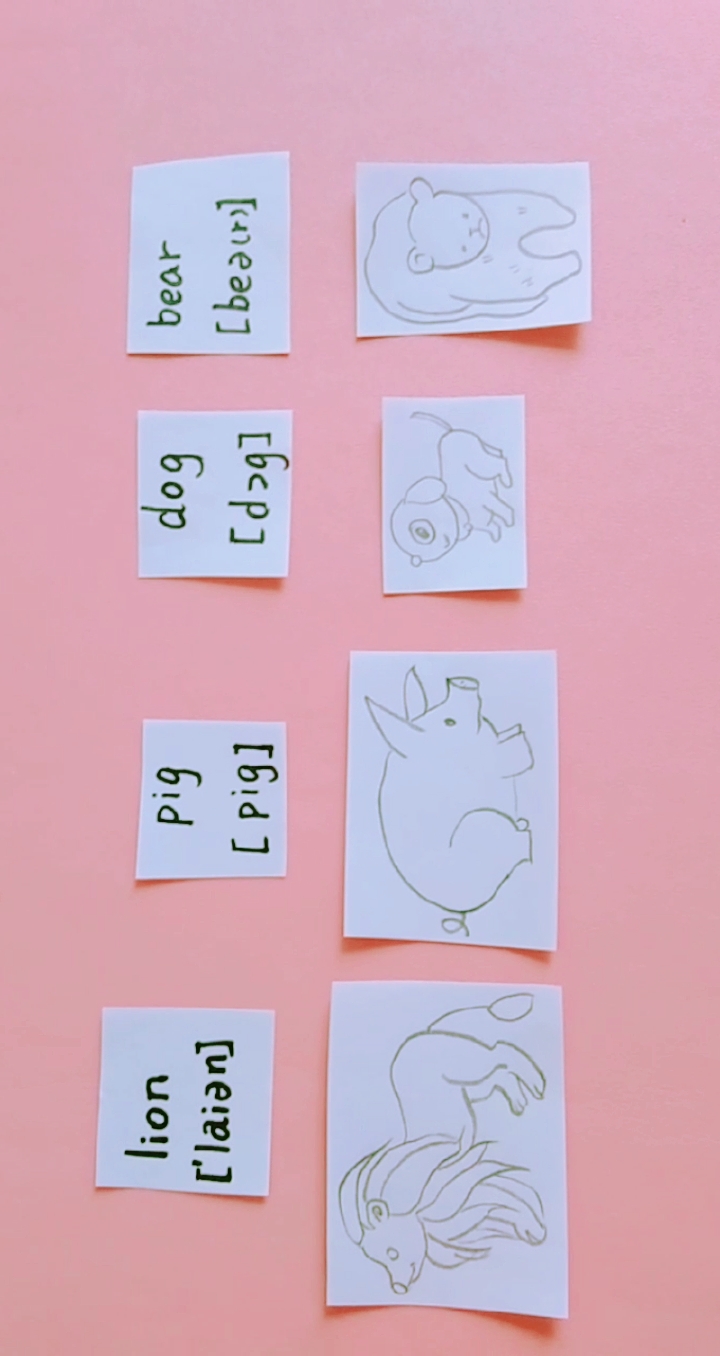 #家有萌娃#简笔画·小动物英文朗读翻译·狮子·猪·狗·熊