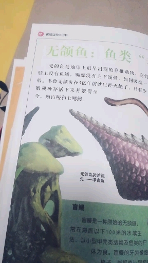 无颌鱼:鱼类老古董