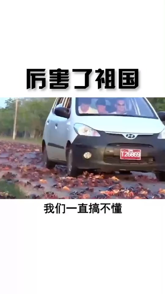 吃货的境界你真不懂!没有什么是中国吃货解决不了的难题!