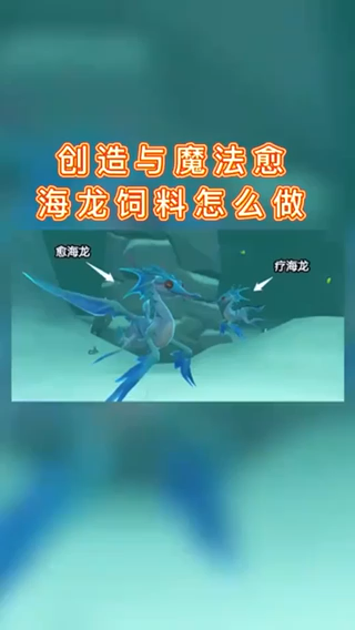 创造与魔法幼紫鲨饲料怎么做