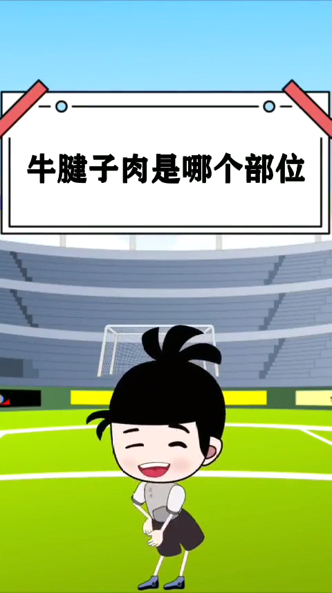 牛腱子肉是哪个部位