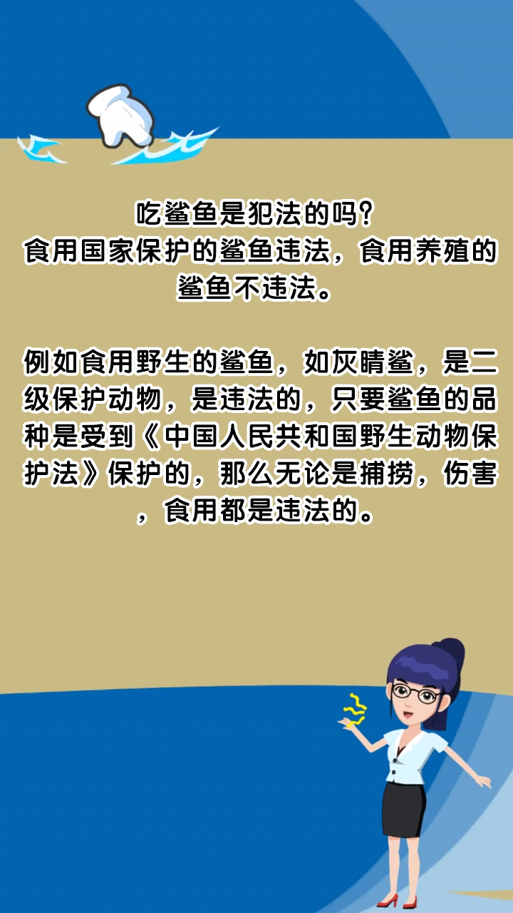吃鲨鱼是犯法的吗?