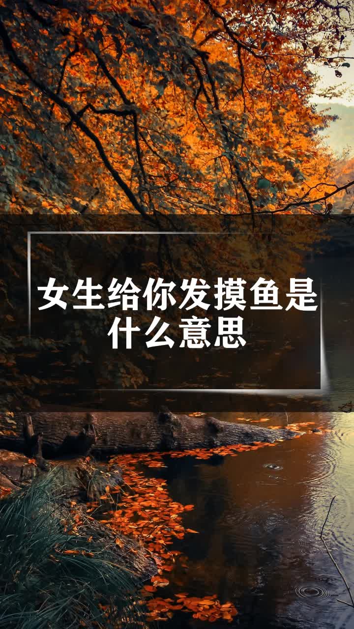 女生给你发摸鱼是什么意思