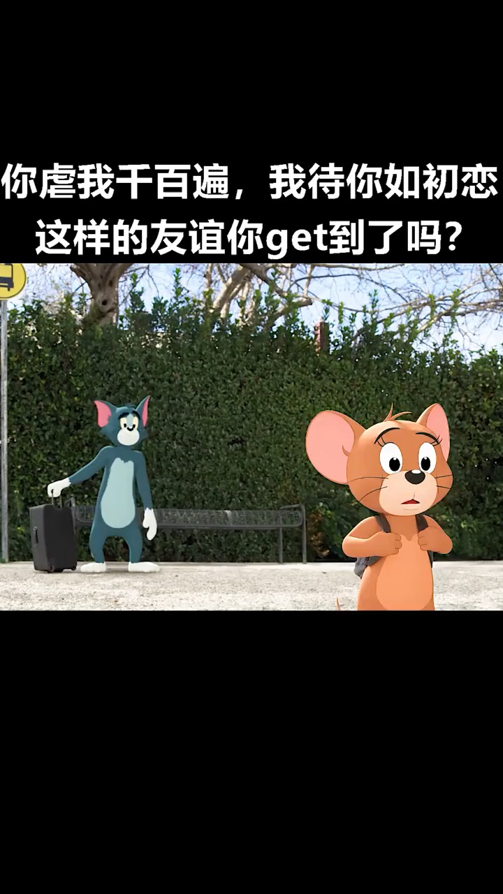 汤姆是捕鼠冠军 他不是抓不到杰瑞,而是一直保护杰瑞,这就是我们从小磕过最长情CP