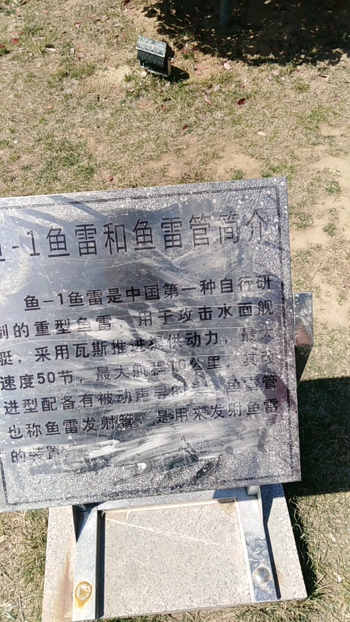 分享视频