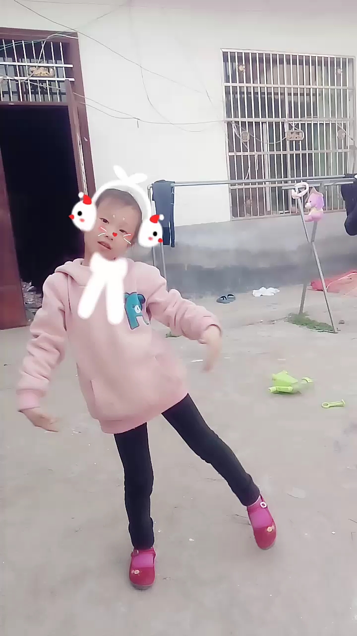 美丽的大公鸡
