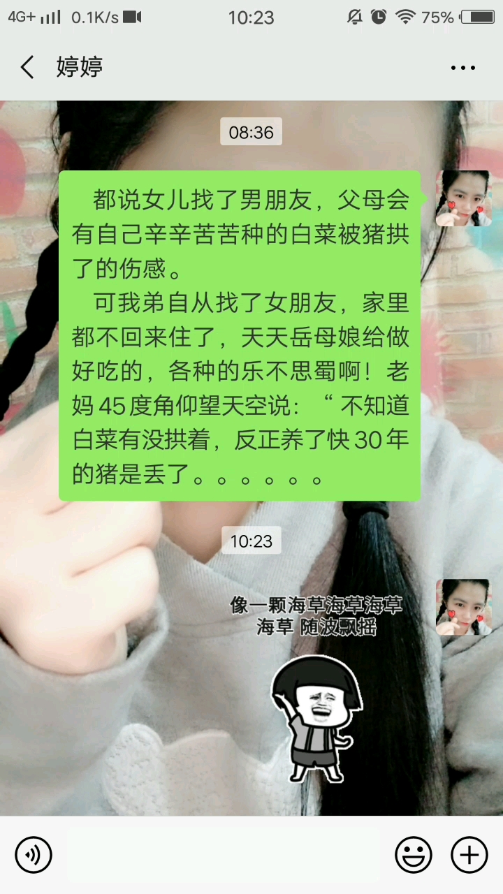 养了30年的猪